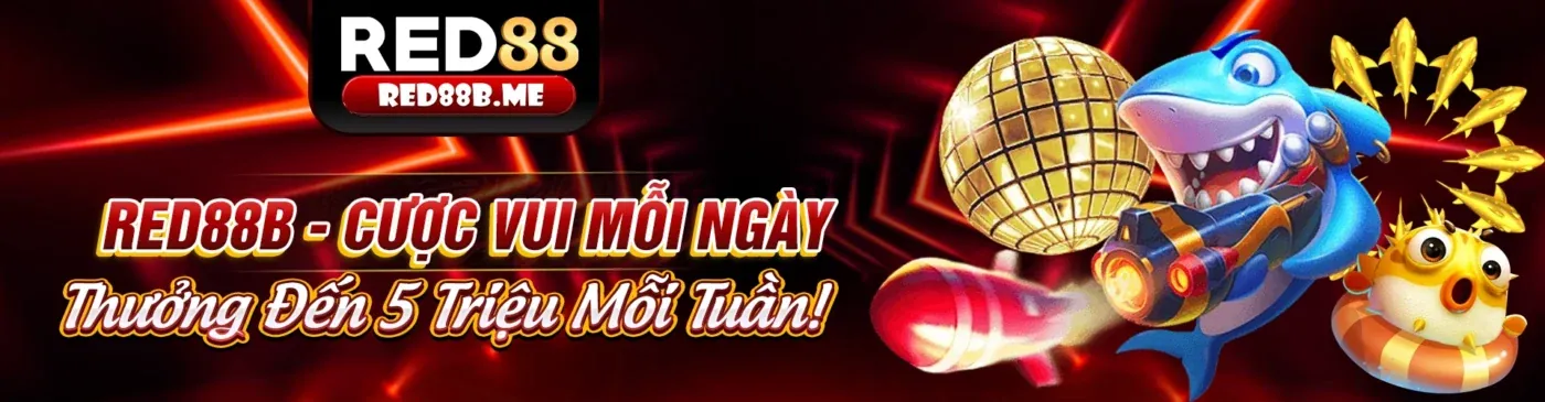Hình ảnh Chính Sách Cookie VK88 nhà cái